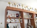 Víťazné trofeje DHZ Hankovce Víťazné trofeje DHZ Hankovce
